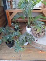 Kunst planten 6 stuks, Ophalen of Verzenden, Halfschaduw, Minder dan 100 cm