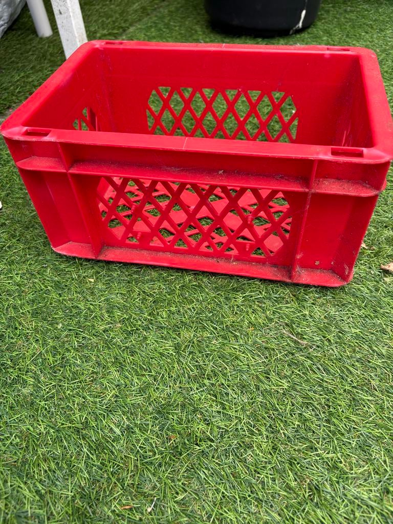 Rood Kinder Fiets Krat - Ideaal voor kleine avonturiers, Fietsen en Brommers, Fietsaccessoires | Fietsmanden, Gebruikt, Fietskrat