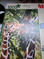 Jumbo puzzel giraffen, Ophalen of Verzenden, 500 t/m 1500 stukjes, Nieuw