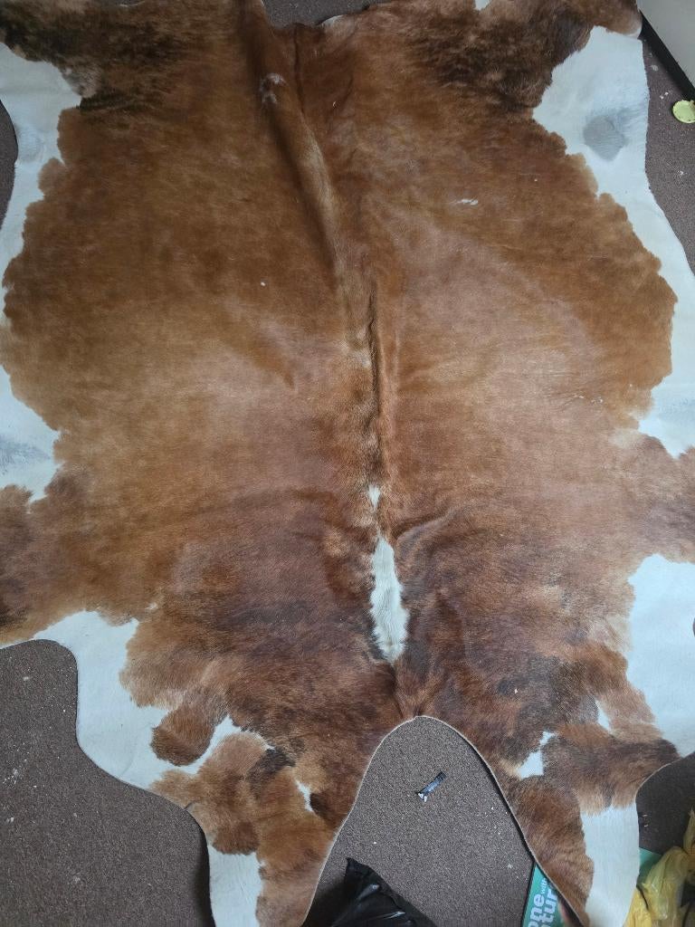 Koe huid vloerkleed XXL, Ophalen, 200 cm of meer, Rechthoekig, Nieuw