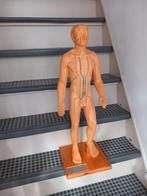 Acupunctuur pop, Ophalen of Verzenden