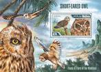 MALDIVEN 69 - Dieren: vogels (uil), Ophalen of Verzenden, Postfris, Dier of Natuur