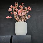 NIEUW!   PRACHTIGE  BLOESEMBOMEN, Huis en Inrichting, Woonaccessoires | Zuilen en Pilaren, Ophalen, Nieuw