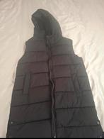 Primark lange bodywarmer met capuchon, maat 158 (13 jaar), Kleding | Dames, Bodywarmers, Primark, Zwart, Ophalen of Verzenden