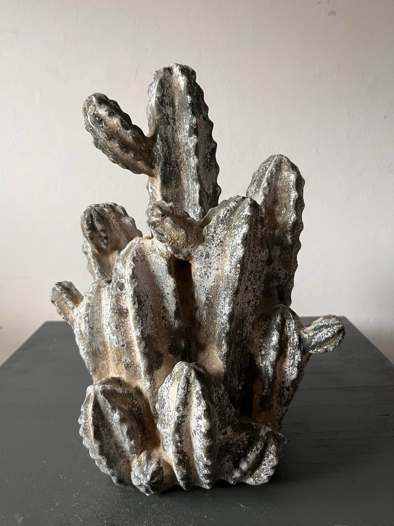Decoratief Cactus Beeld - 33x23cm - Diverse Kleuren, Ophalen, Nieuw