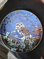 Wedgwood Night Owls, Ophalen