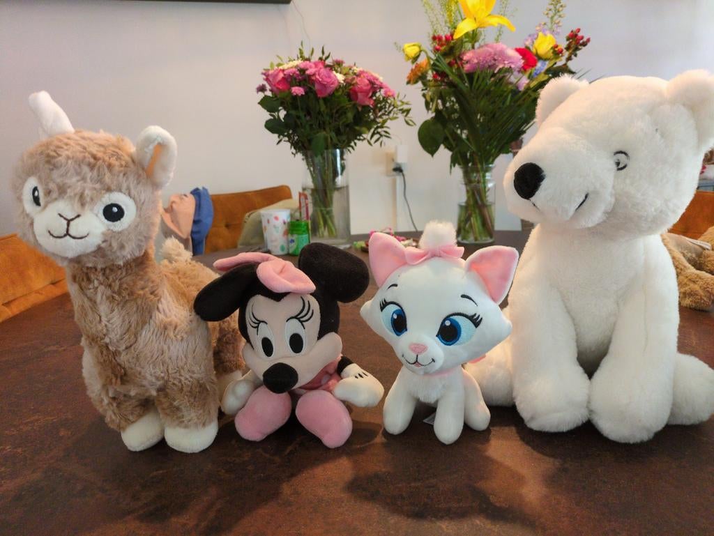 GRATIS Diverse knuffels zo goed als nieuw, Kinderen en Baby's, Speelgoed | Knuffels en Pluche, Ophalen, Zo goed als nieuw, Overige typen