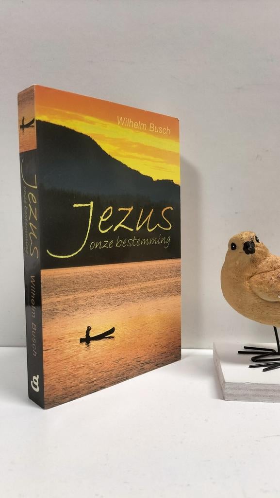 Busch, Wilhelm; Jezus onze bestemming, Ophalen of Verzenden, Gelezen, Christendom | Protestants