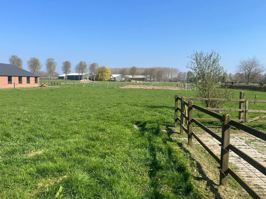 Paardenstalling met weidegang voor 1 of 2 paarden/pony's, Dieren en Toebehoren, Stalling en Weidegang, Weidegang, 2 of 3 paarden of pony's