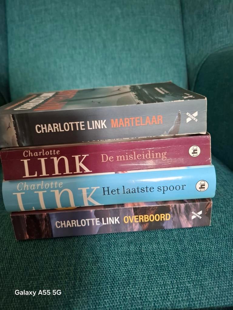 Charlotte Link - Martelaar, Boeken, Thrillers, Ophalen of Verzenden, Zo goed als nieuw, Charlotte Link