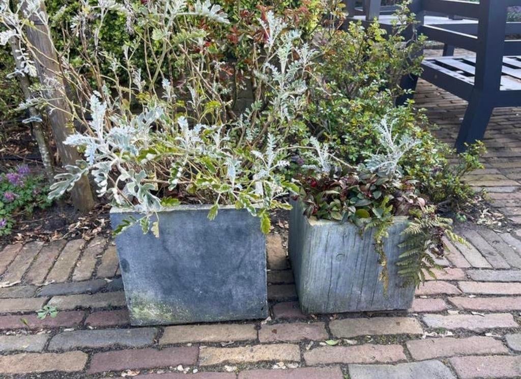Twee mooie gevulde bloempotten voor buiten, Tuin en Terras, Gebruikt, Vierkant, Minder dan 40 cm, Tuin