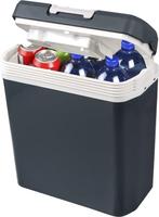 Koelbox TE HUUR, Ophalen of Verzenden, Nieuw, Koelelement