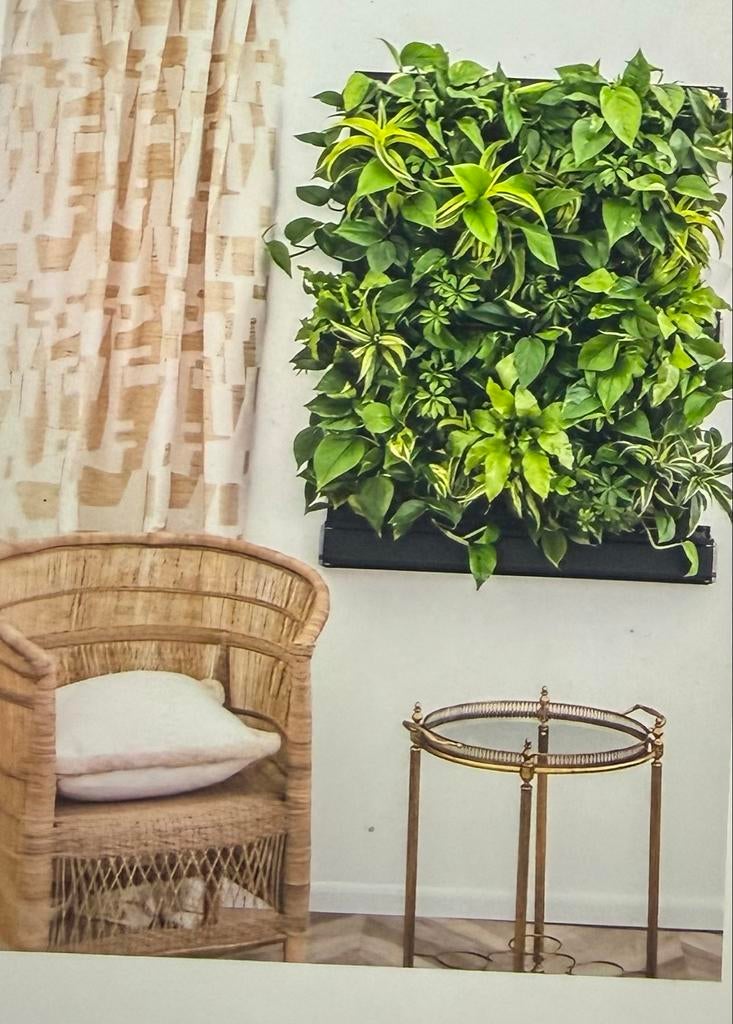 Planten aan de muur Livepanel Pack 2x2 1 Groene Wand, Tuin en Terras, Bloembakken en Plantenbakken, Zo goed als nieuw, Kunststof