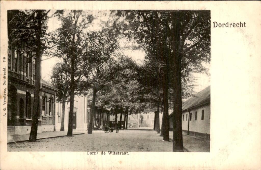 Dordrecht - Corns de Witstraat - Laan met bomen, Ophalen of Verzenden, Voor 1920, Ongelopen, Zuid-Holland