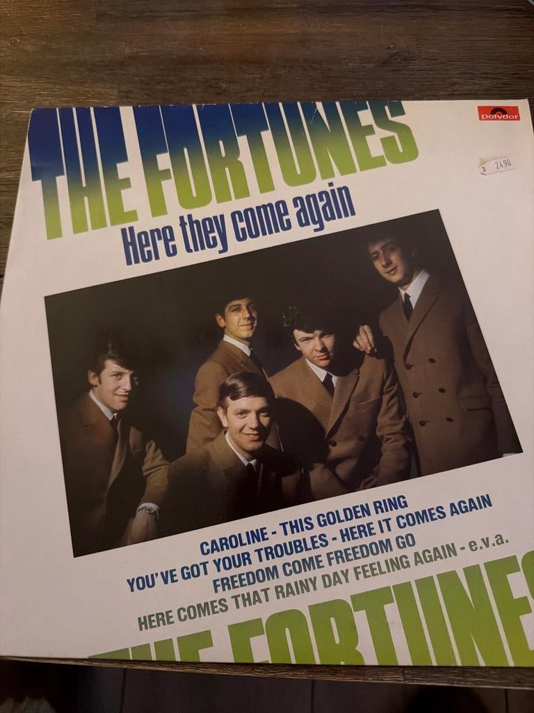 The Fortunes - Here They Come Again LP, Cd's en Dvd's, Vinyl | Pop, Ophalen of Verzenden, Gebruikt, 12 inch