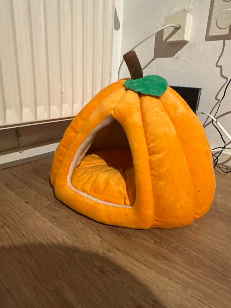 Cat bed, Ophalen, Nieuw