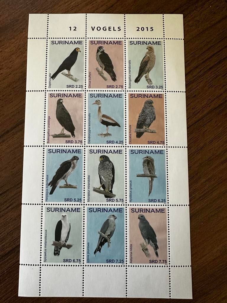 Suriname 2015 Roofvogels vogels postfris velletje, Postzegels en Munten, Postzegels | Suriname, Ophalen of Verzenden, Postfris