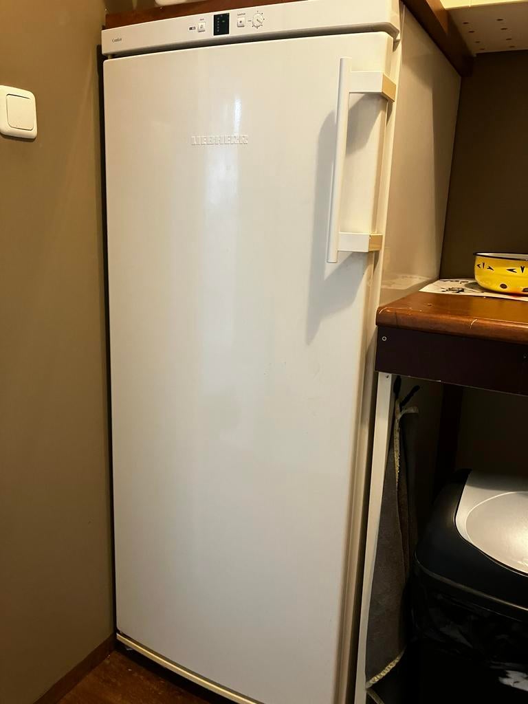 Liebherr Vrieskast - Wit, Vrijstaand, 199L Netto Inhoud, Witgoed en Apparatuur, Gebruikt, Minder dan 60 cm, 160 cm of meer, Vrijstaand