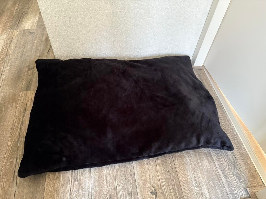 Groot hondenkussen. Zwart. NIEUW!!, Ophalen of Verzenden, Nieuw, Zwart