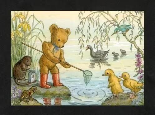 IJsvogel Beer Eend Kikker Waterhoentje Otter by Molly Brett., Verzamelen, Ansichtkaarten | Themakaarten, Ongelopen, 1980 tot heden