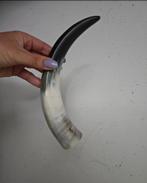 Hoorn, Muziek en Instrumenten, Blaasinstrumenten | Hoorns, Ophalen of Verzenden