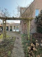 Gratis, rozenboog & rozenstruik, Ophalen of Verzenden, Zo goed als nieuw