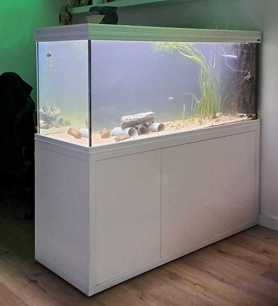 Aquarium 500 liter, inclusief kast, compleet met toebehoren, Ophalen, Gebruikt, Leeg aquarium