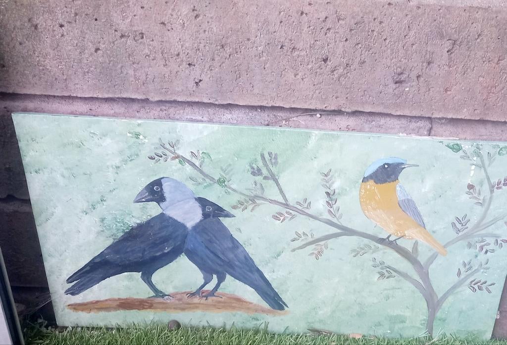 Trespa voor buiten handgeschilderd, Dieren en Toebehoren, Vrouwelijk, Wildzangvogel