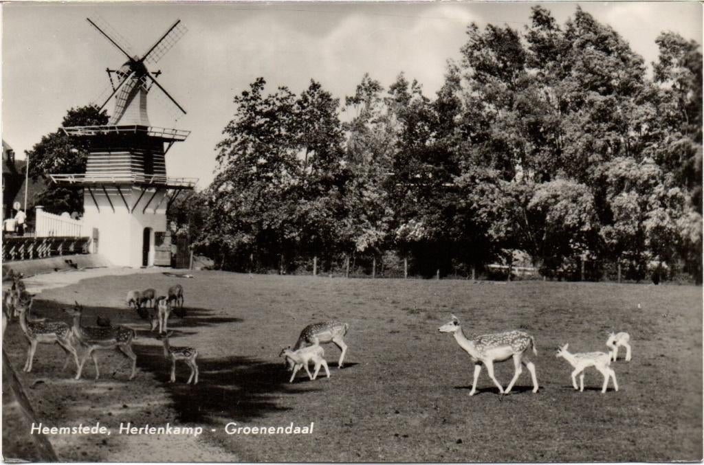 Heemstede  Hertenkamp - Groenendaal, Ophalen of Verzenden, 1980 tot heden, Gelopen, Noord-Holland