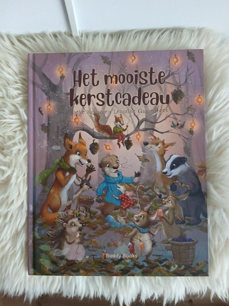 Ineke Kraijo - Het mooiste kerstcadeau, Ophalen of Verzenden, Zo goed als nieuw, Ineke Kraijo