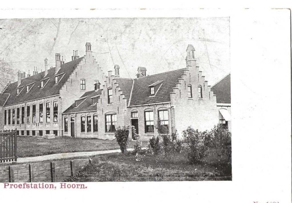 Jt29-29-  Hoorn-   Proefstation, Verzamelen, Verzenden, Voor 1920, Ongelopen, Noord-Holland