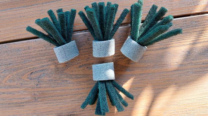 Afzetborstels eierleggende vissen medaka, rijstvis, Dieren en Toebehoren, Vissen | Vijvervissen, Overige soorten