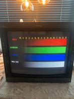 Sony PVM-20L4 crt monitor, Ophalen of Verzenden