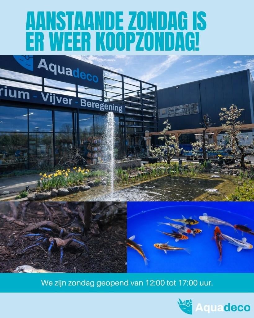 KOOPZONDAG BIJ AQUADECO! 26 April, Dieren en Toebehoren, Vissen | Aquaria en Toebehoren, Ophalen, Nieuw, Overige merken, Leeg aquarium