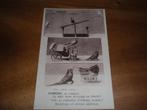 Vogeldressuur Vogel Kunstjes Humor Circus, Verzenden, Voor 1920, Vogel