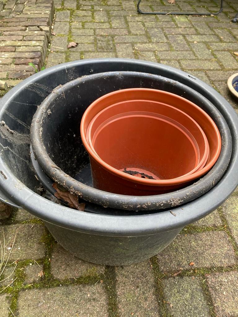 Grote bloembakken, ideaal voor moestuin of planten, Tuin en Terras, Bloembakken en Plantenbakken, Ophalen, Kunststof, Gebruikt