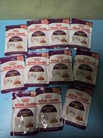 royal canin sensory smell, Ophalen of Verzenden, Kat