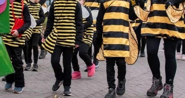 Carnavalskleding Groep - 27 stuks!, Kleding | Dames, Carnavalskleding en Feestkleding, Carnaval, Maat 46/48 (XL) of groter, Ophalen of Verzenden