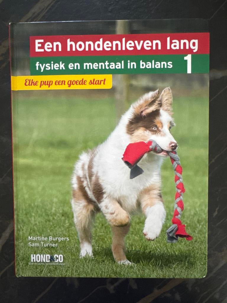 Boek: Een hondenleven lang - Elke pup een goede start, Boeken, Dieren en Huisdieren, Ophalen of Verzenden, Zo goed als nieuw, Honden