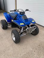 Yamaha warrior 350 geen kenteken boerderij quad, Motoren