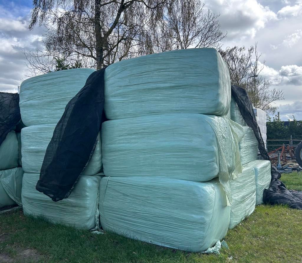 Mooi paarden hooi te koop, vierkante balen, Ophalen, Vee