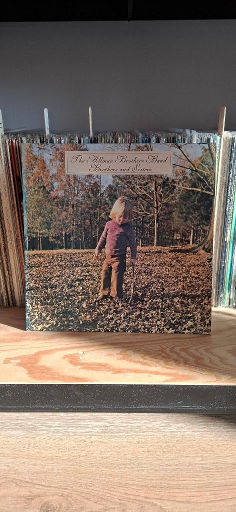 Lp Allman Brothers Band - Brothers and Sisters vinyl Duits, Ophalen of Verzenden, Zo goed als nieuw, 12 inch, Poprock