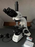 Optika B500 Levend bloed microscoop (LBA), Ophalen, Gebruikt, 400x tot 1000x, Biologische microscoop
