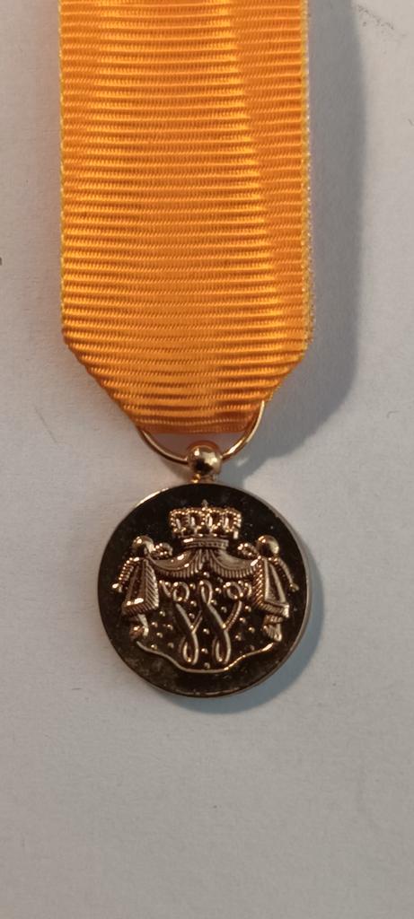 Nederlandse Medaille 'Voor Trouwe Dienst' met Kroon, Postzegels en Munten, Penningen en Medailles, Ophalen of Verzenden