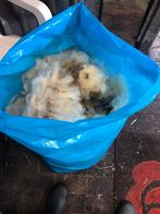 Gratis ophalen schapenwol, Hobby en Vrije tijd, Ophalen, Zo goed als nieuw