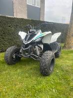 Yamaha quad YFM 90 wit, 88 cc, 11 kW of minder, 1 cilinder