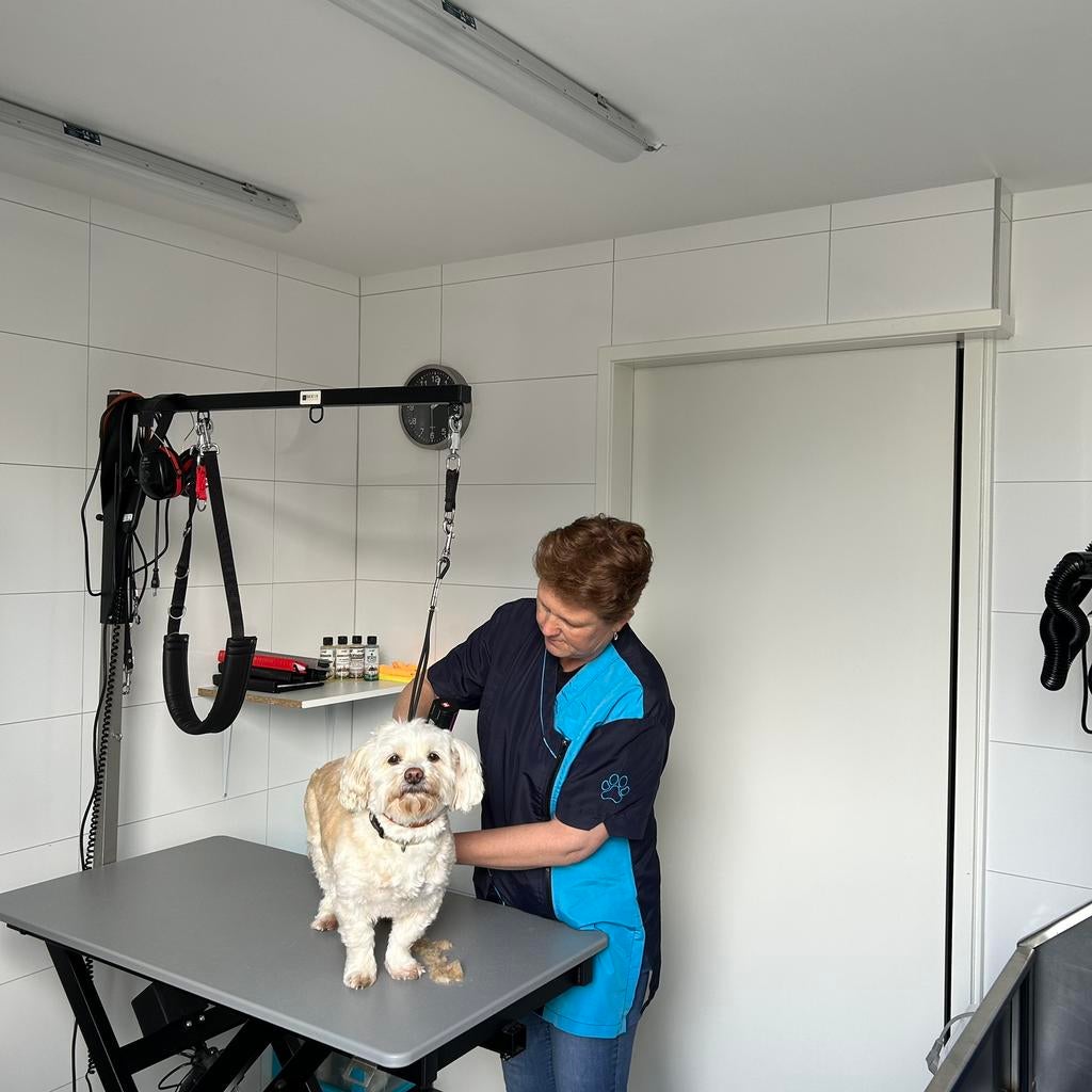 Hondentrimsalon Nootdorp, Ophalen of Verzenden