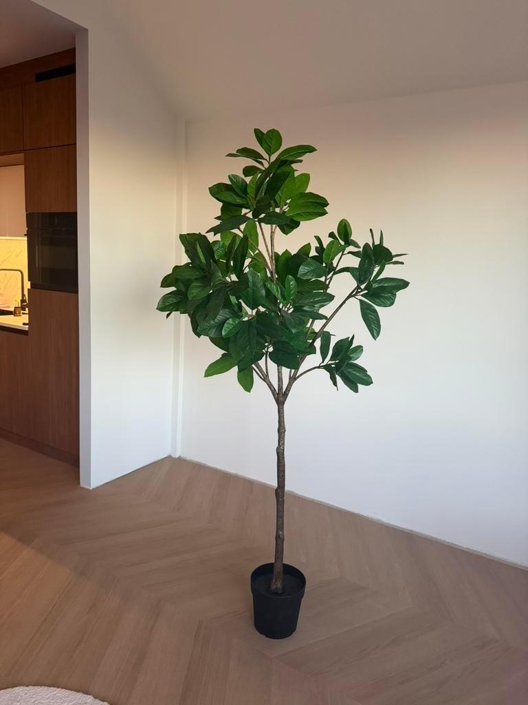 Ikea Fejka Magnolia topstaat, Ophalen, Groen, Kunstplant, Zo goed als nieuw