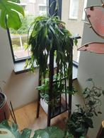 Vintage plantstandaard, Huis en Inrichting, Woonaccessoires | Zuilen en Pilaren, Ophalen