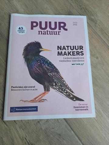 1x Puur beschikbaar voor biedingen